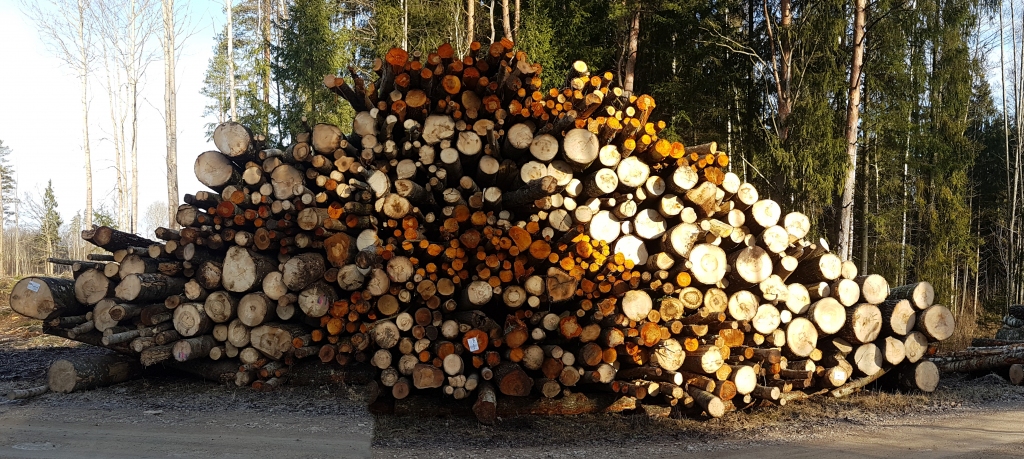 Kooperatīvu laiki Jaunjelgavā